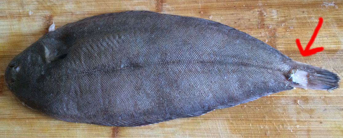 Seezunge Müllerin mit Jacobsmuscheln und Kartoffeln
