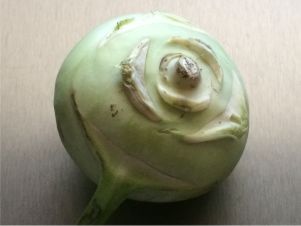 Kohlrabi