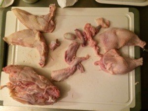 Huhn zerlegt