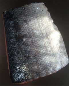 Stück Lachs
